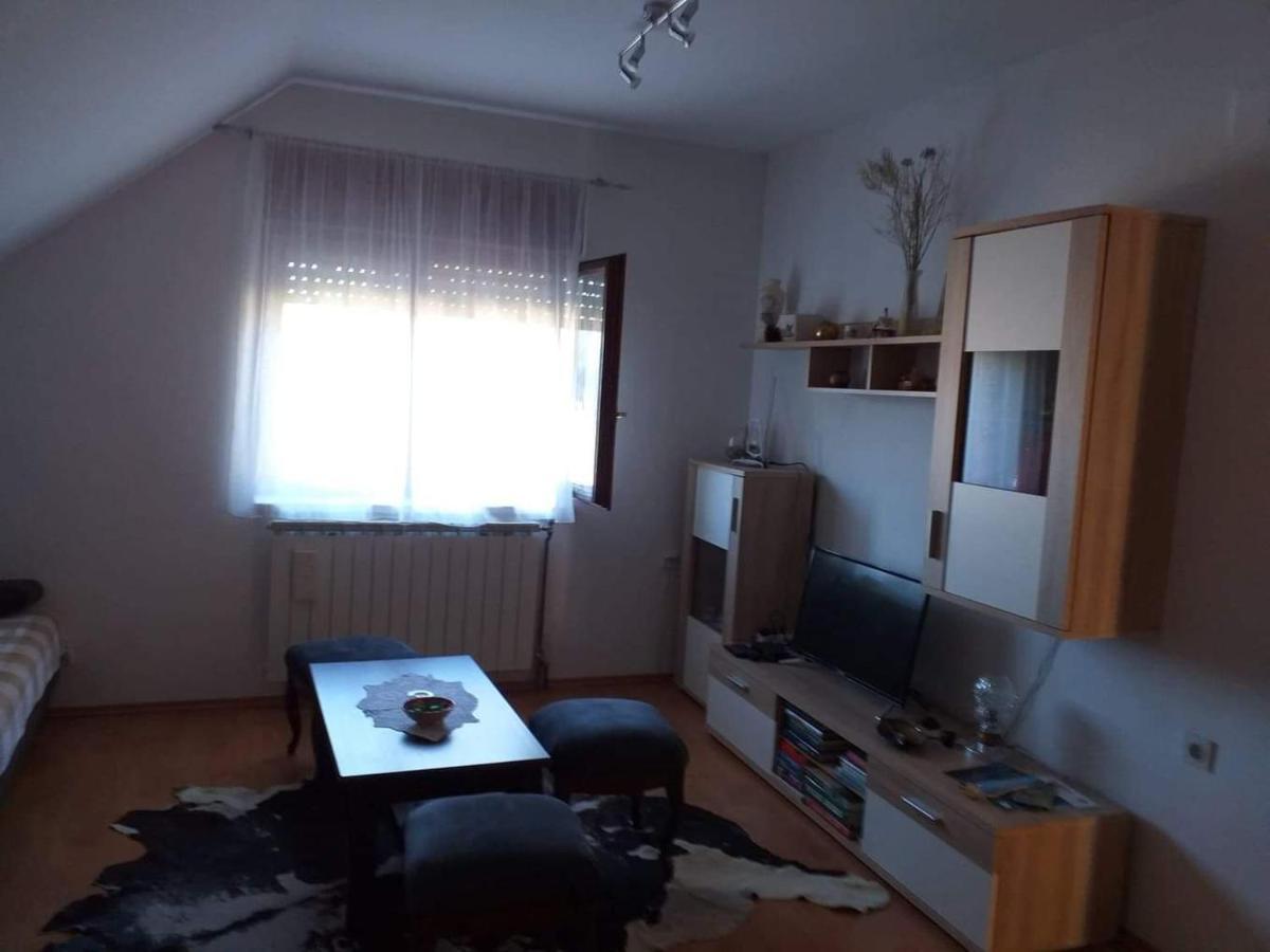 Apartman Skender 3* Ravna Gora Apartment Ngoại thất bức ảnh