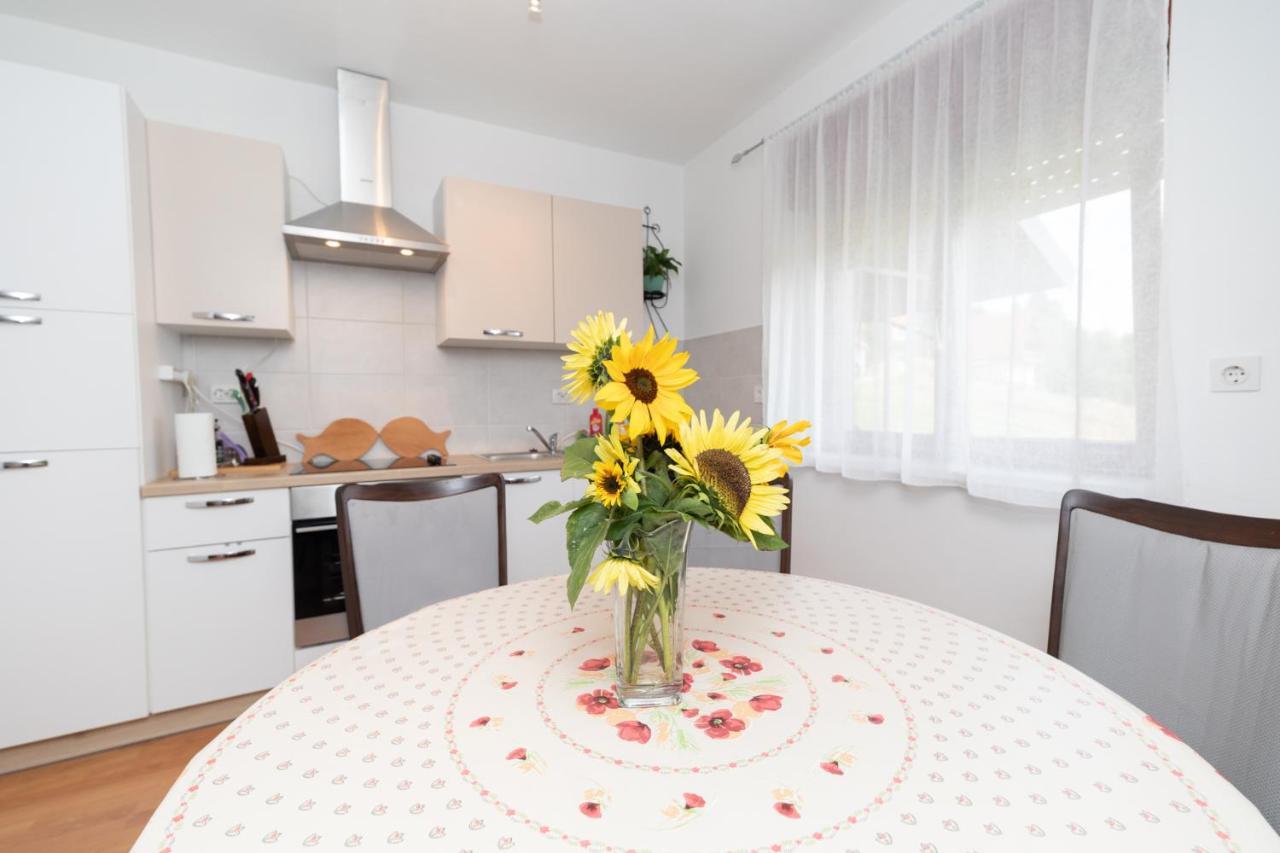 Apartman Skender 3* Ravna Gora Apartment Ngoại thất bức ảnh