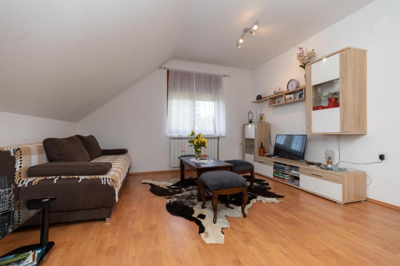 Apartman Skender 3* Ravna Gora Apartment Ngoại thất bức ảnh