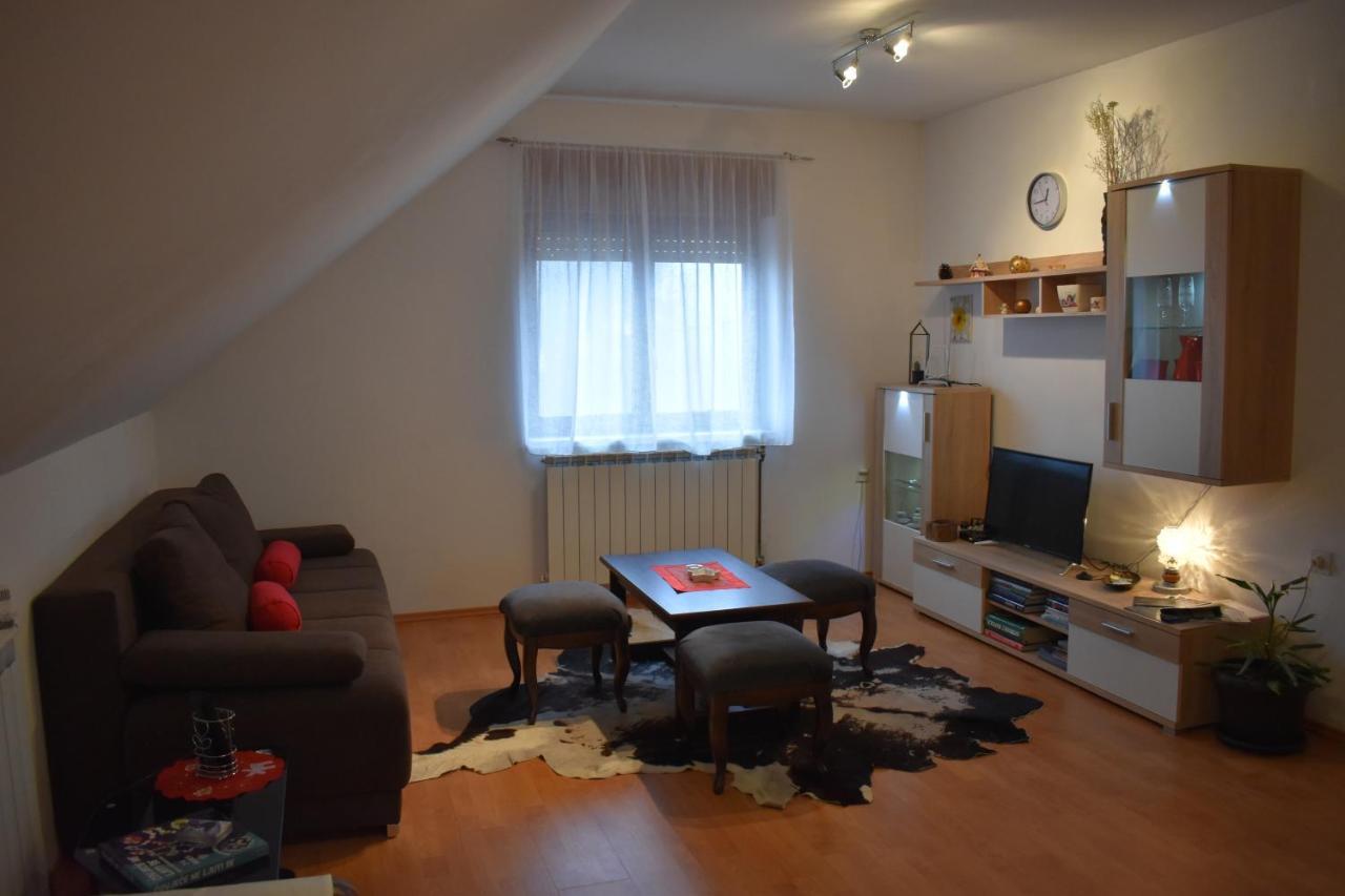 Apartman Skender 3* Ravna Gora Apartment Ngoại thất bức ảnh