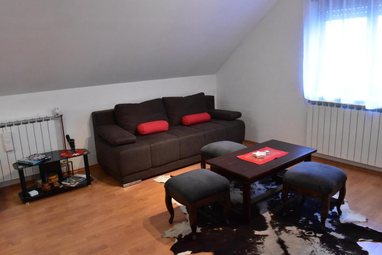 Apartman Skender 3* Ravna Gora Apartment Ngoại thất bức ảnh
