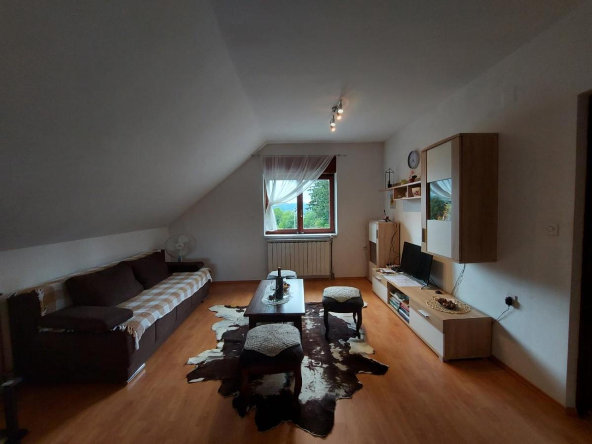 Apartman Skender 3* Ravna Gora Apartment Ngoại thất bức ảnh