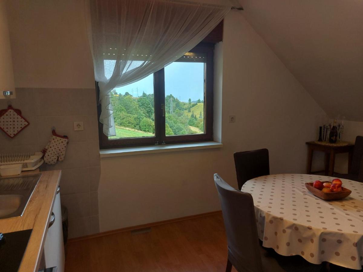 Apartman Skender 3* Ravna Gora Apartment Ngoại thất bức ảnh