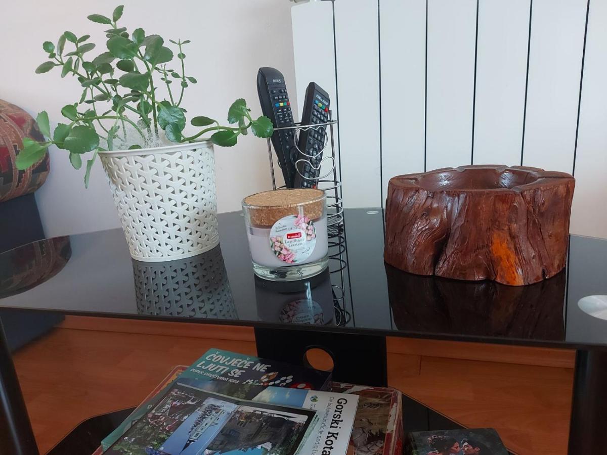 Apartman Skender 3* Ravna Gora Apartment Ngoại thất bức ảnh