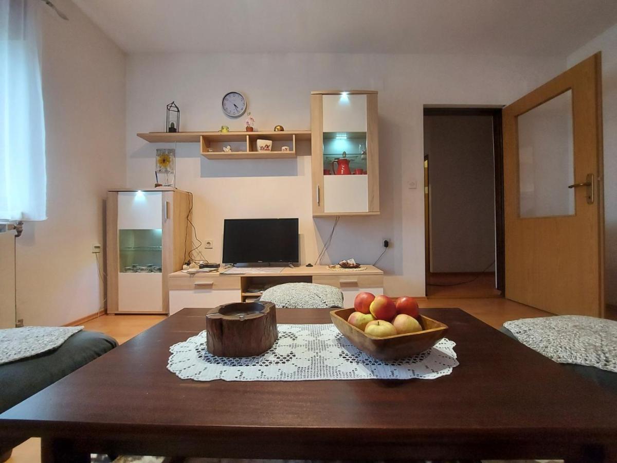 Apartman Skender 3* Ravna Gora Apartment Ngoại thất bức ảnh